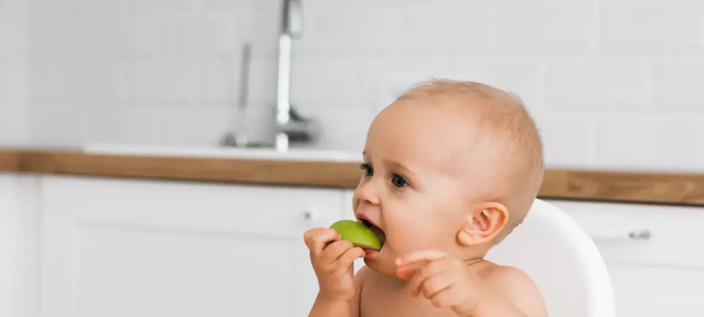 Bébé 12 mois : quelques idées de recettes pour votre enfant à 1 an